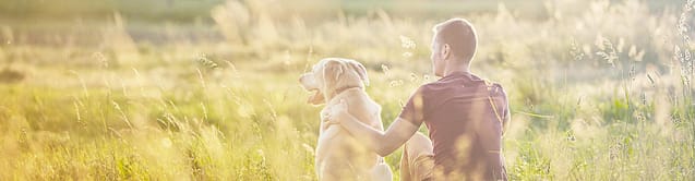 fairvendo, nachhaltige Versicherungen