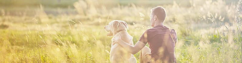 fairvendo, nachhaltige Versicherungen