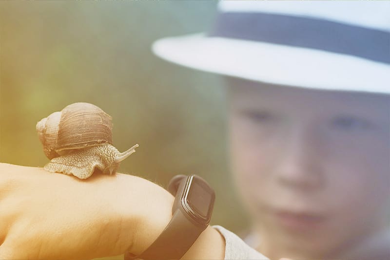 Junges Kind betrachtet eine Schnecke auf der Hand – Symbol für Achtsamkeit, Geduld und nachhaltiges Handeln.